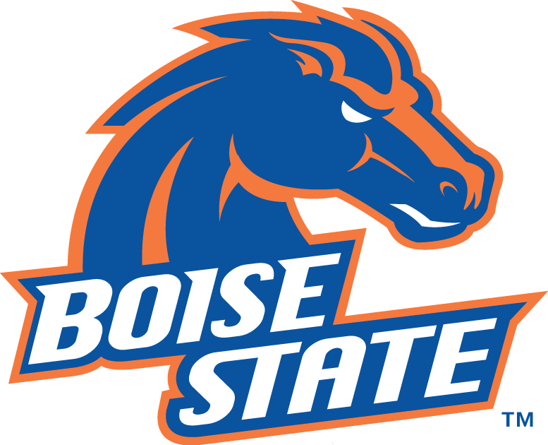 Boise State Broncos 2002-2012 Primary Logo t shirts iron on transfers